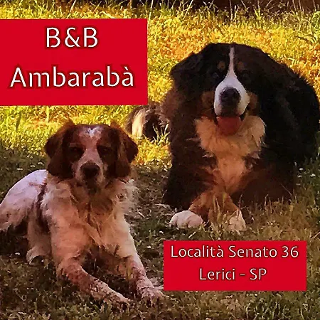Oda ve Kahvaltı Ambaraba *