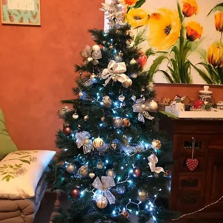 Ambaraba Frühstückspension *